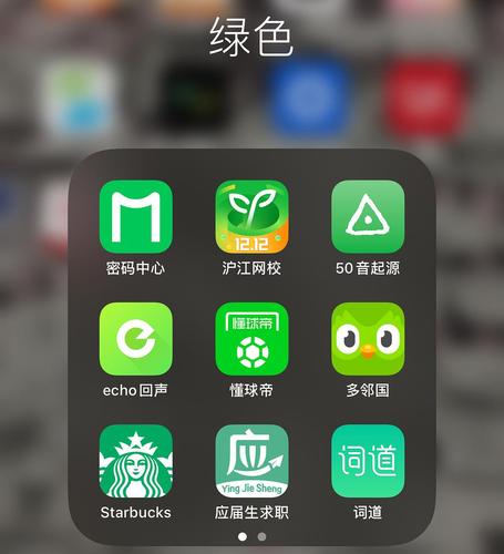 满十八岁夜里禁用 10 款 APP：保护未成年人身心健康的绿色应用