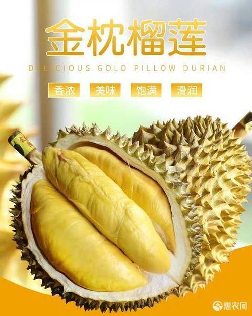 LL999 榴莲官网，臻选泰国优质榴莲，口感软糯香甜，让你尽享榴莲美味