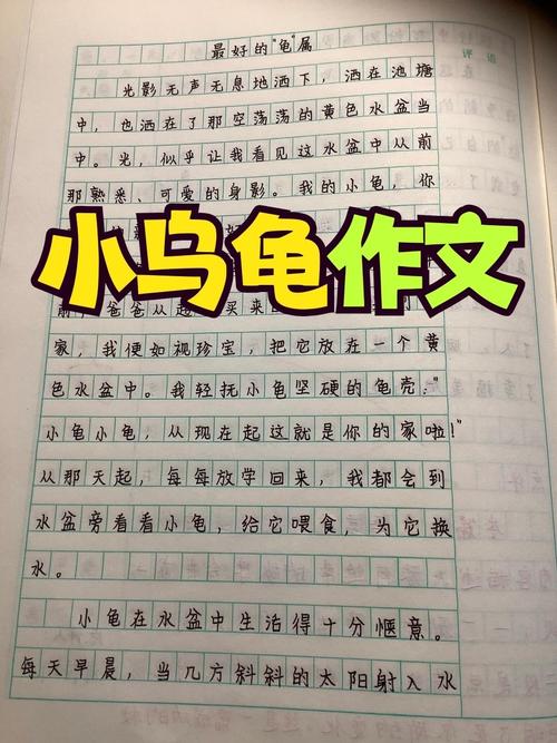 让别人看和玩部位作文 3200 字:探索身体的奇妙之旅