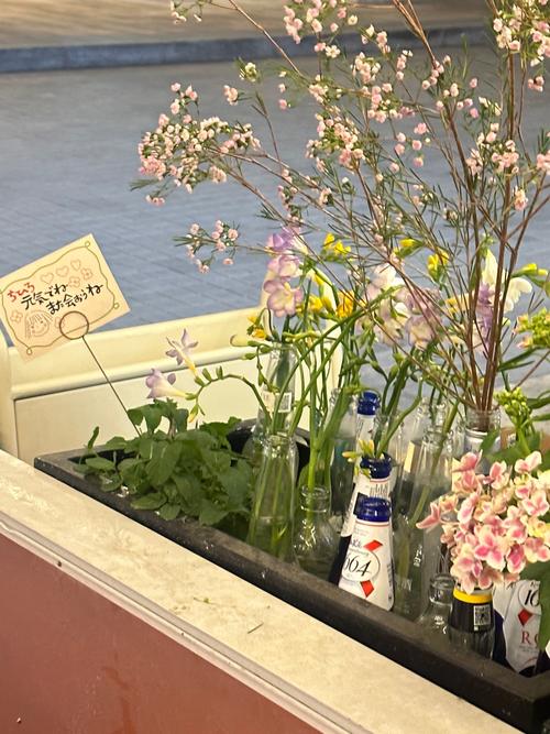 小花园想夹东西怎么办？试试[产品名称]，轻松解决