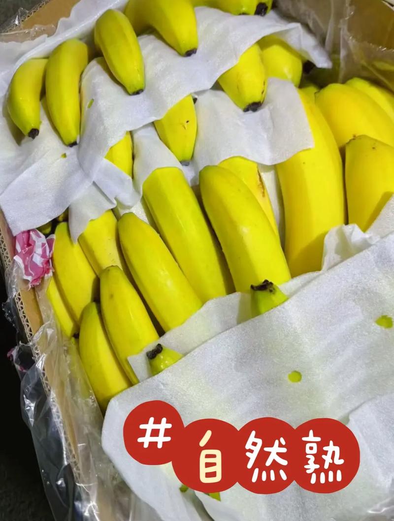 2019 最新香蕉在线,一款提供各类新鲜资讯的在线平台