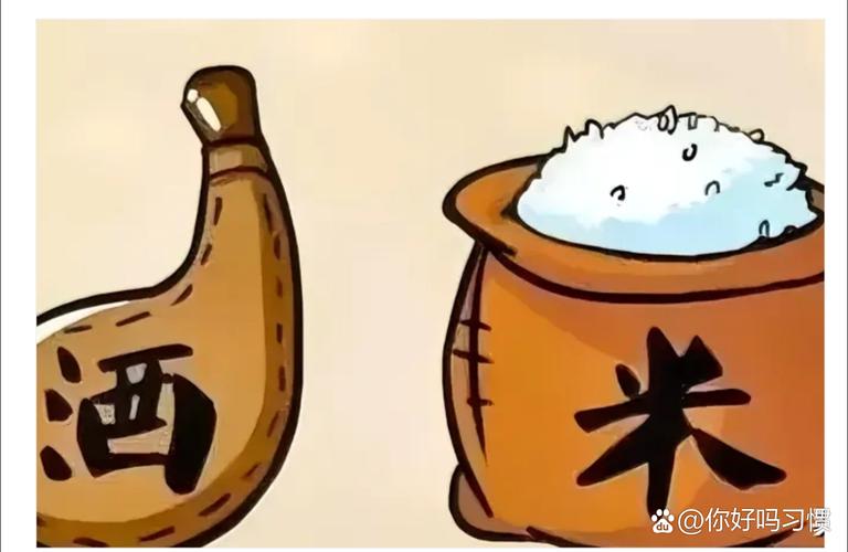 成语小秀才816答案解析:探寻智慧之光的成语奥秘之旅